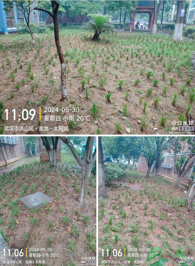搜狗截图24年10月11日1542_138.jpg