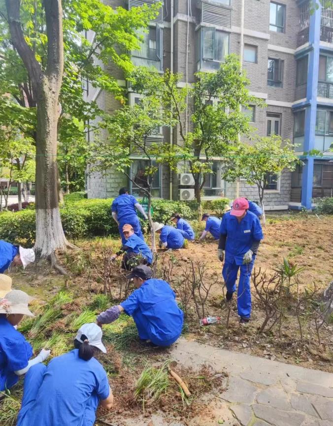 搜狗截图24年10月11日1541_135.jpg