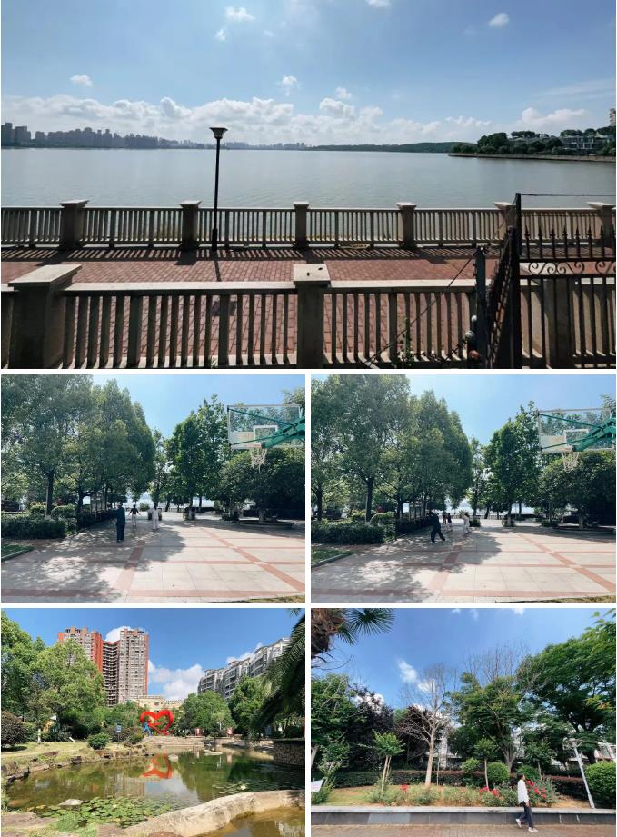 搜狗截图24年10月11日1525_119.jpg