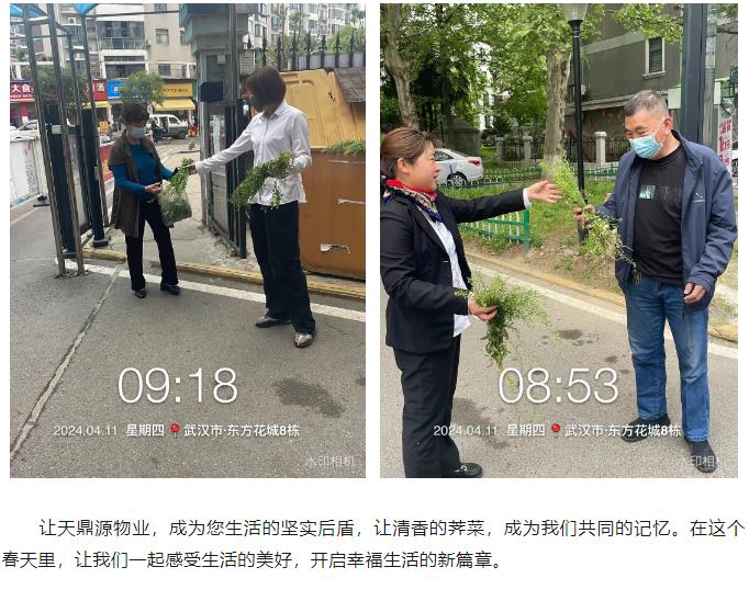 搜狗截图24年10月11日1506_100.jpg