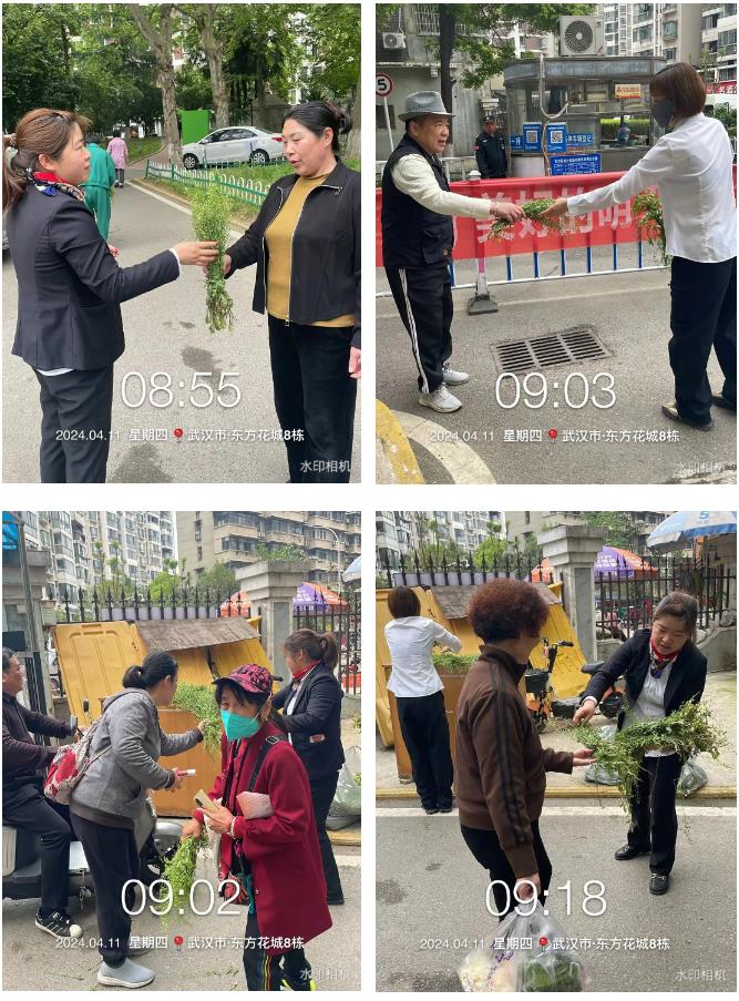 搜狗截图24年10月11日1506_99.jpg